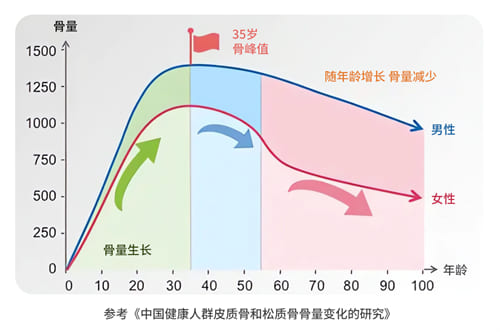 骨质变化表